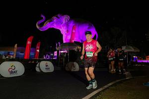 BIB: 
                            <button type="button" onclick="openModal(26535273)" class="btn btn-primary btn-sm float-right btn-popup" data-toggle="modal" data-target=".modal-high-quality">
                        <i class="fas fa-shopping-cart"></i> Add to Cart
                    </button>
                                            <button type="button" onclick="isThisMe(26535273, true)" class="btn btn-success btn-sm float-right btn-popup btn-isme hidden" data-toggle="tooltip" data-placement="bottom" title="นี่คือรูปของคุณใช่ไหม คลิกที่นี่เพื่อเอาเข้าอัลบั้ม">
                        <i class="fas fa-plus"></i> Add to album
                    </button>
                    <button type="button" onclick="isThisMe(26535273, false)" class="btn btn-warning btn-sm float-right btn-popup btn-isnotme hidden">
                        <i class="fas fa-ban"></i> Remove from album
                    </button>